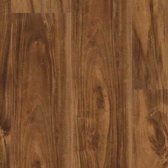 Alpha Collection in Spice Accacia