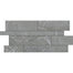 Enlite in Transcend Random Linear 12x24 Tile