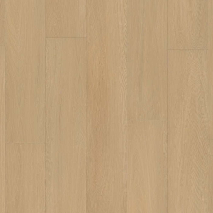 Prime XL Collection in Terra Oak Luxury Vinyl