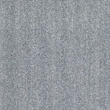 Tundra in Alpine Carpet