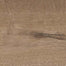 Vicinity in Honey Tile
