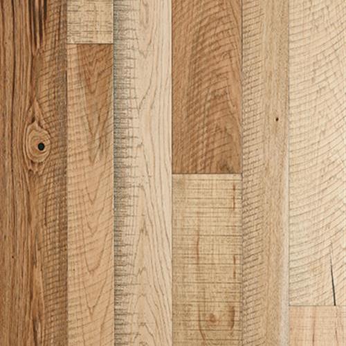 Gambino Collection in Menton