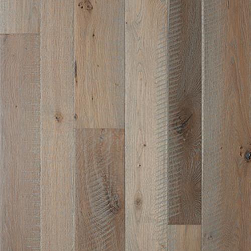 Gambino Collection in Moneta