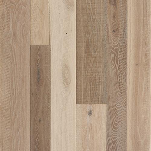 Gambino Collection in Uboldo