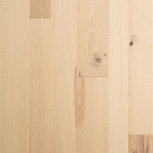 Gambino Collection in Varedo