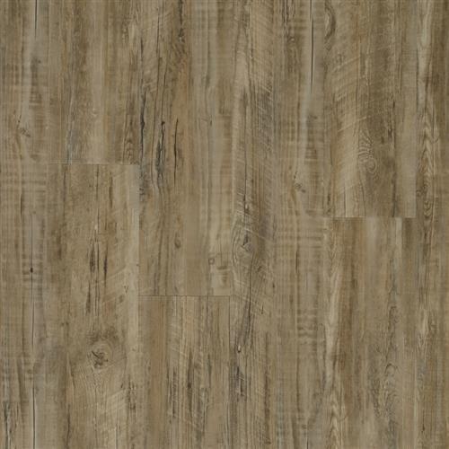 COREtec Plus 7" Plank in St. Andrew's Oak