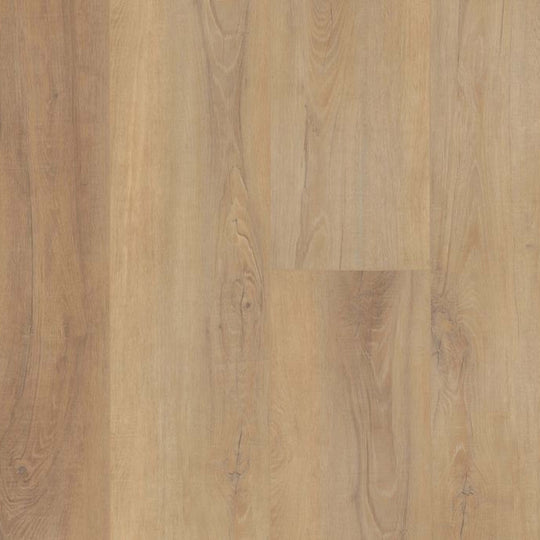 COREtec Pro Plus XL Enhanced HD in Canterbury Elm