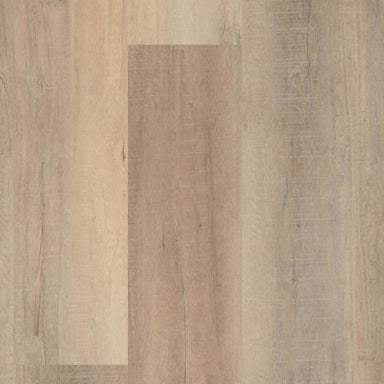 COREtec Pro Plus XL Enhanced HD in Bastion Elm Luxury Vinyl