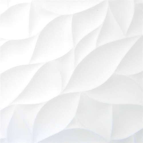 Jazz in White Bloom Matte 12"x24"