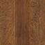 Wallingford Birch in Burlap Birch