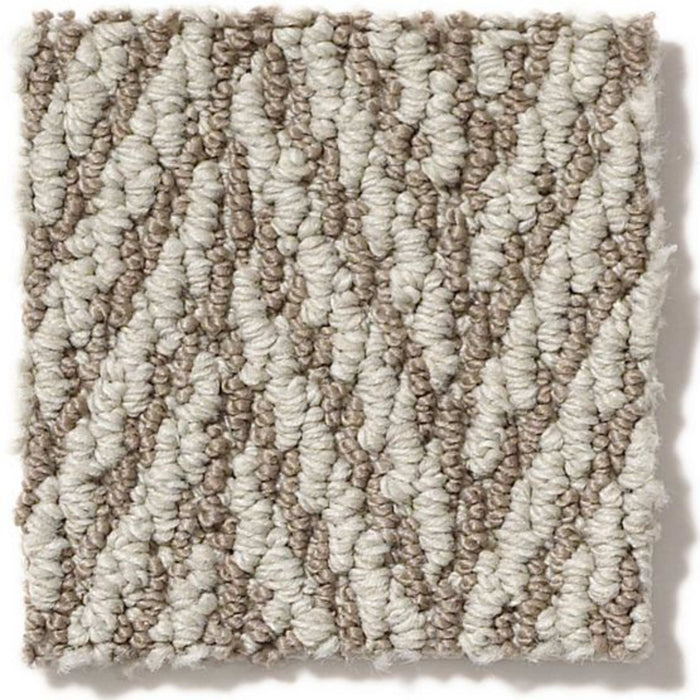 Only Natural II in Brownstone Carpet