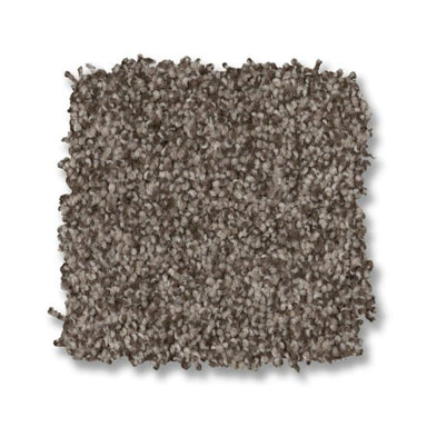 Terra Nova in Arrowhead Carpet