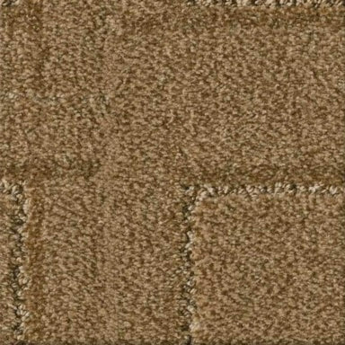 Path in Amber Waves Carpet