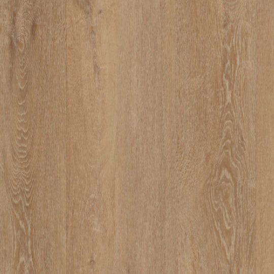 COREtec Premium in Zawn Oak