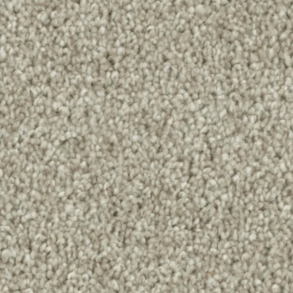 Microban Polyester - Tempt in Allure Carpet
