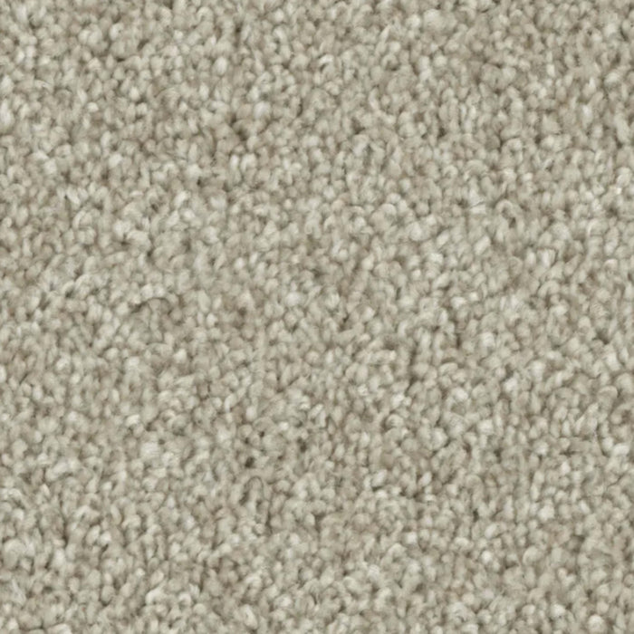 Microban Polyester - Tempt in Allure Carpet