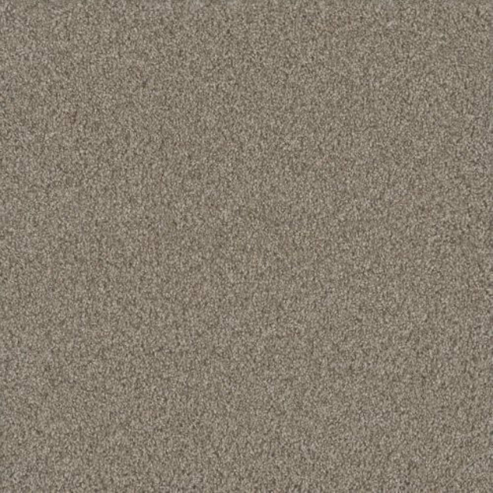 NO LIMITS II in Ambiance Carpet