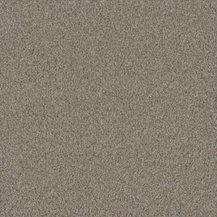 NO LIMITS II in Ambiance Carpet