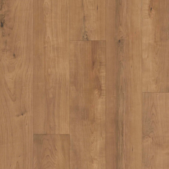 Restoration Collection - Harmony in Bento