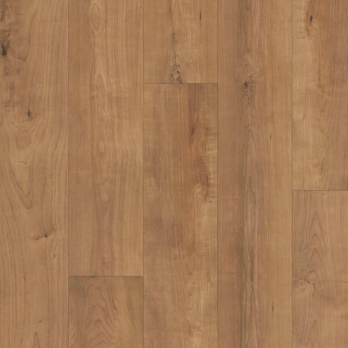 Restoration Collection - Harmony in Bento Laminate