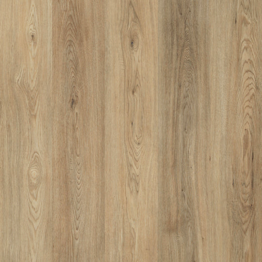 Sun Valley in Cordelia