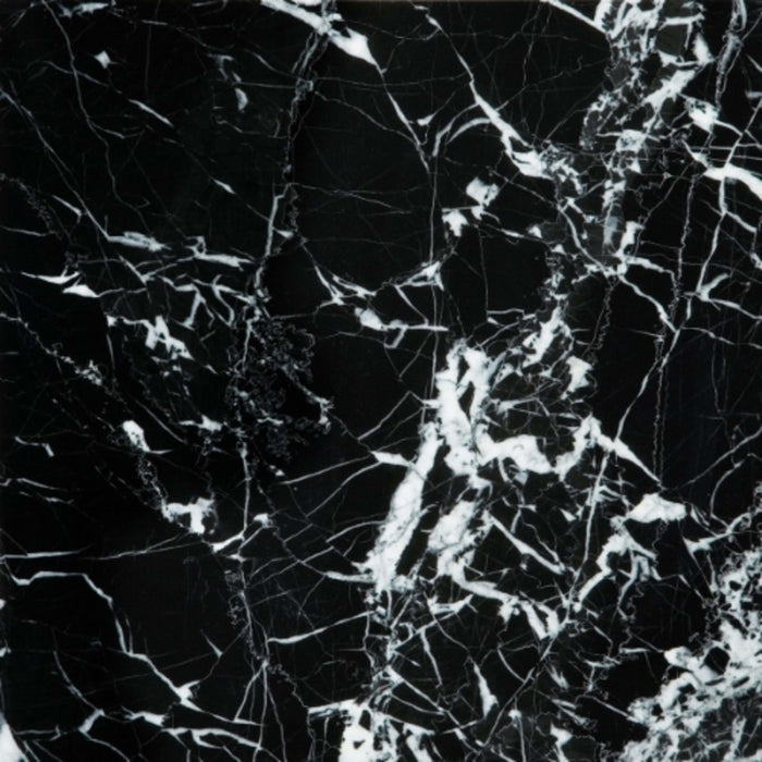 Marble in Black & White 12" X 12" Natural Stone