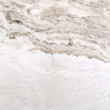 Marble Kalta Collection in Fiore 12" X 24" Natural Stone
