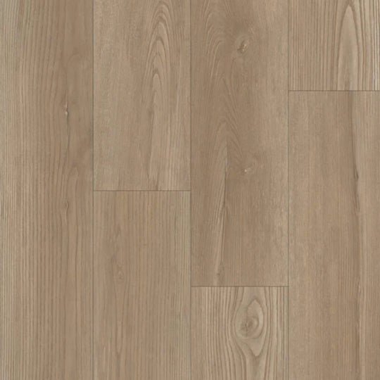 Boardwalk in Pleasant Ash