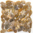 Rivera Pebbles in Gold Flat 12" X 12" Pebble Natural Stone