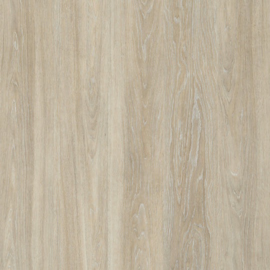 Sun Valley in Sandy Shore