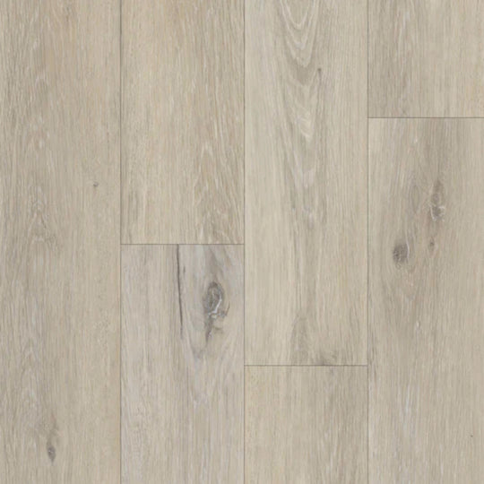 Boardwalk in Wildwood Oak